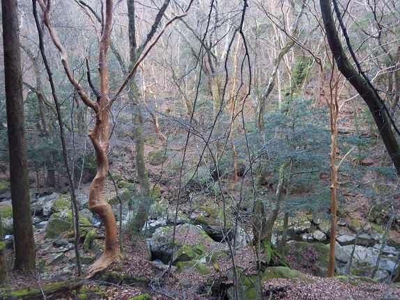 e0164643_16484150.jpg