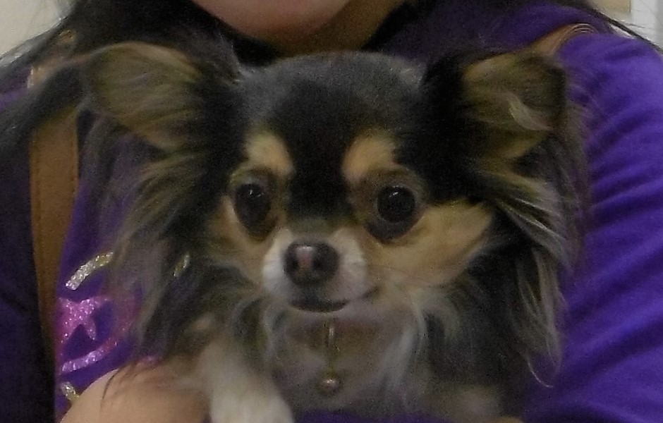 c0174644_13151619.jpg
