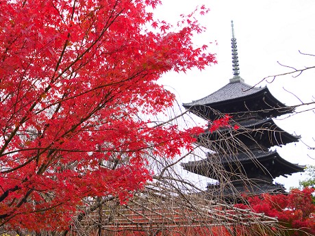 東寺_c0057946_22355996.jpg