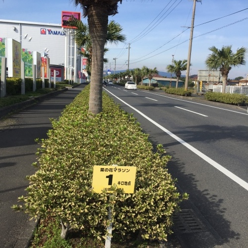 d0347251_13484981.jpeg