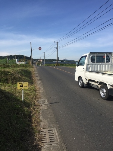 d0347251_13492883.jpeg