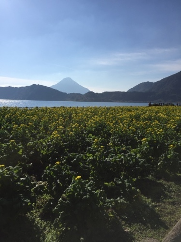 d0347251_13514522.jpeg