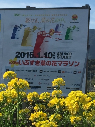 d0347251_13525411.jpeg