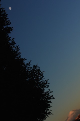 a0248459_16201610.jpg