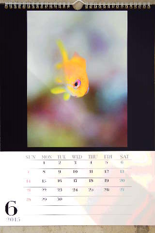 a0155467_18214199.png