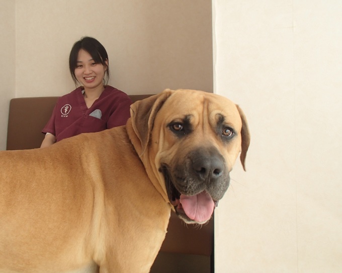 もうすぐ今年も終わり_b0287468_20134365.jpg
