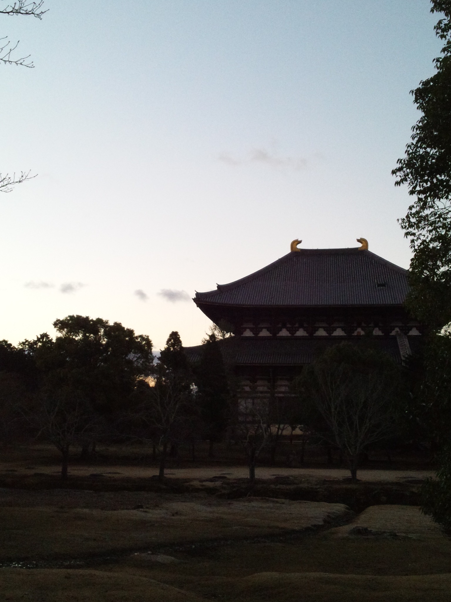 c0001670_6582441.jpg