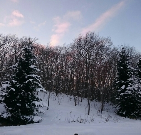 c0311170_18064604.jpg