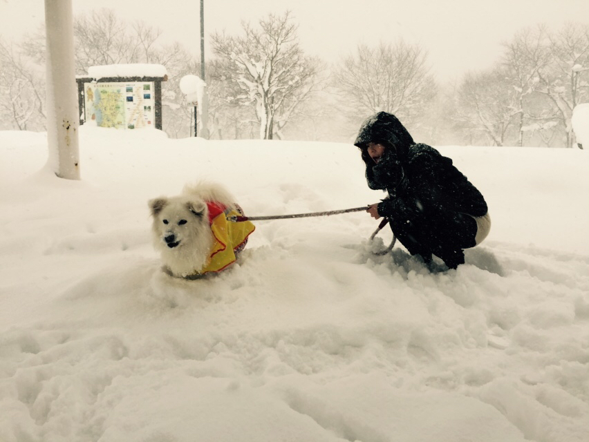 錦秋湖パーキングで、雪遊び。。。_c0238971_15403036.jpg