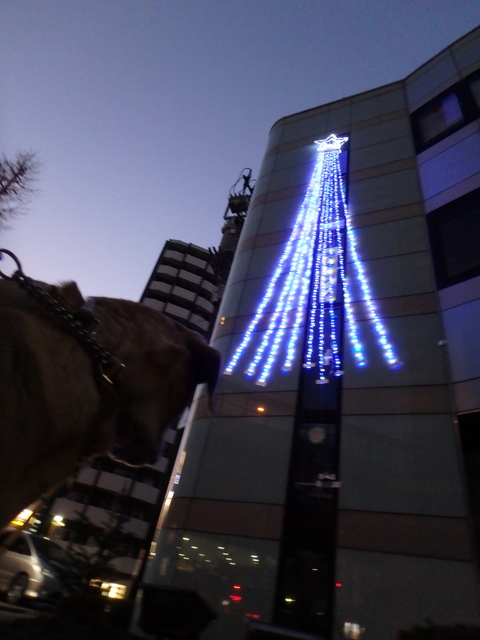 f0052277_152076.jpg