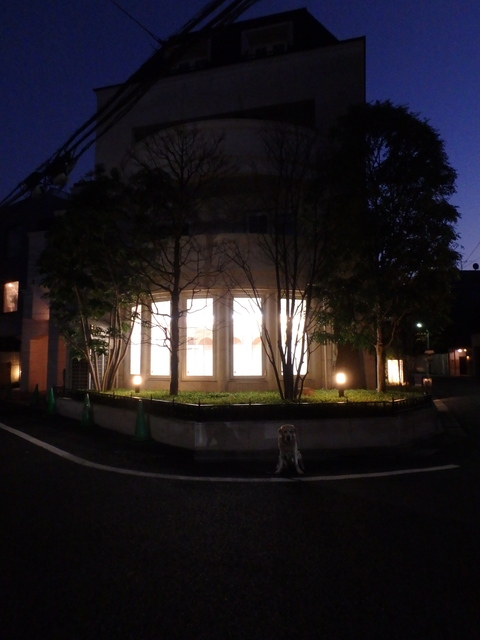 f0052277_20766.jpg