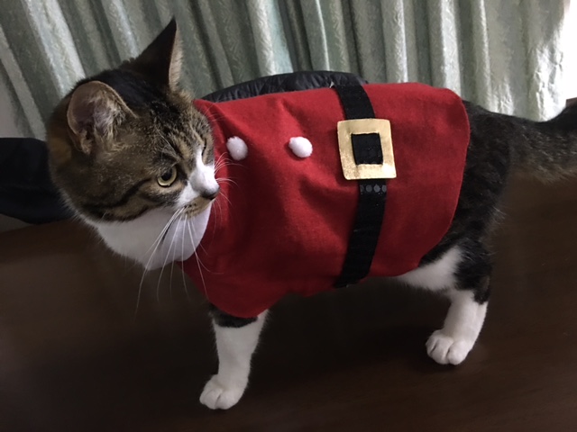 サンタクロース_f0177390_13422636.jpg
