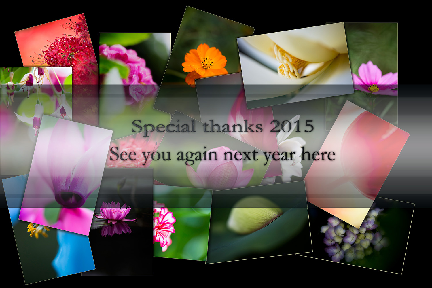 Special thanks　2015_f0195893_19452443.jpg