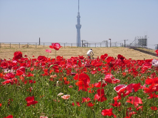 e0147297_850016.jpg