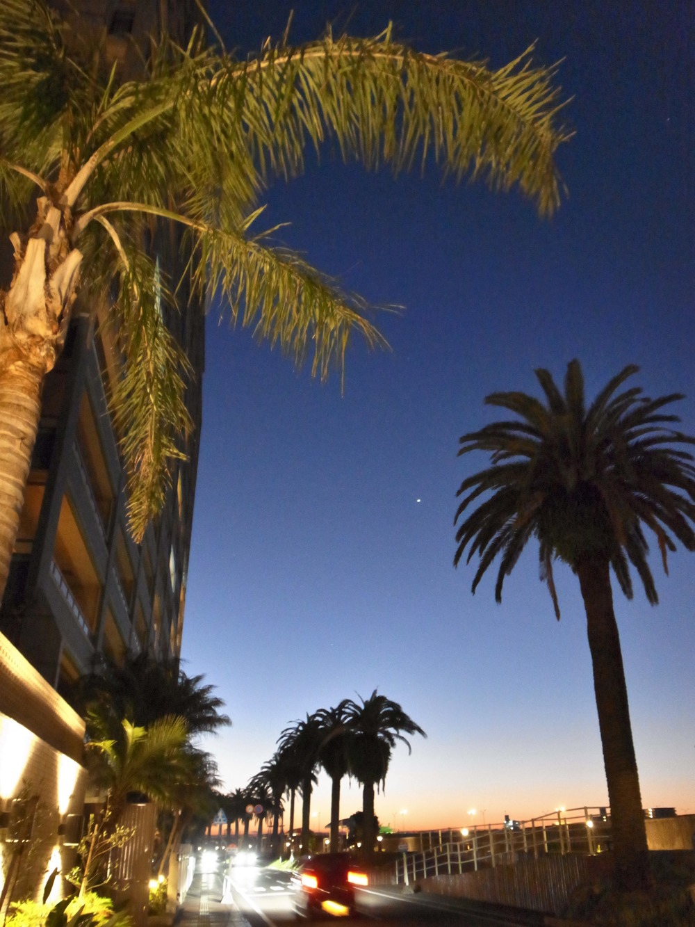 c0049299_22293439.jpg