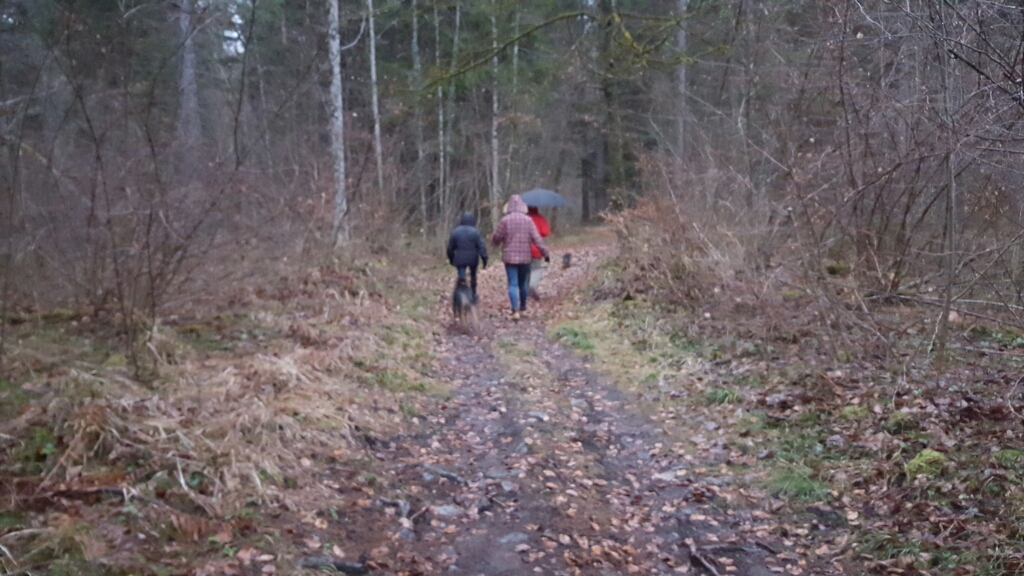 c0240600_01414438.jpg