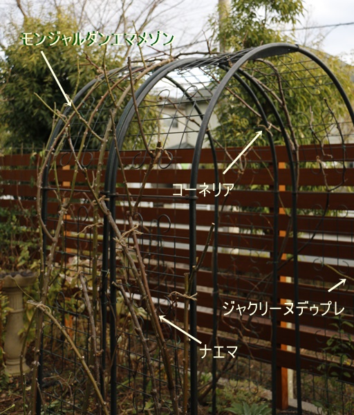 a0123003_8555193.jpg