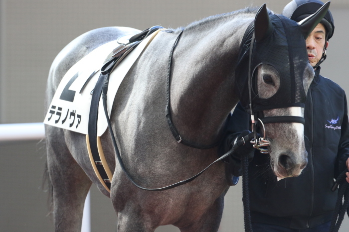 15 朝日杯ｆｓ みっちぃの競馬写真ブログ２