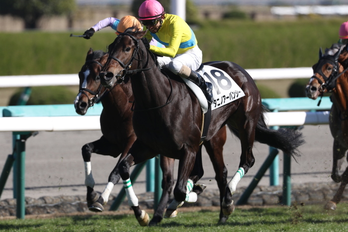 15 朝日杯ｆｓ みっちぃの競馬写真ブログ２
