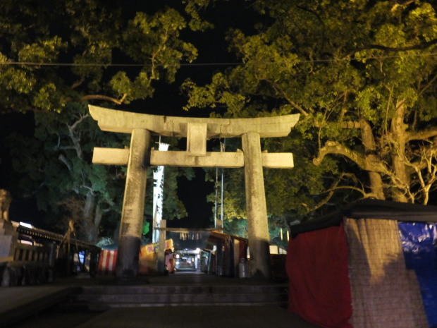 こんばんは_b0114209_18441791.jpg