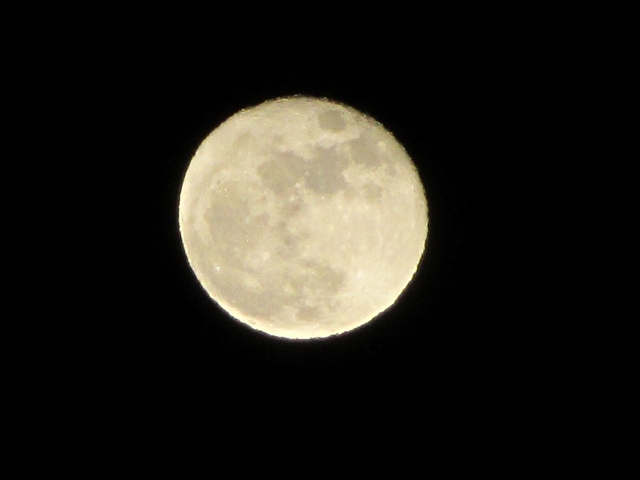 c0167813_6371842.jpg