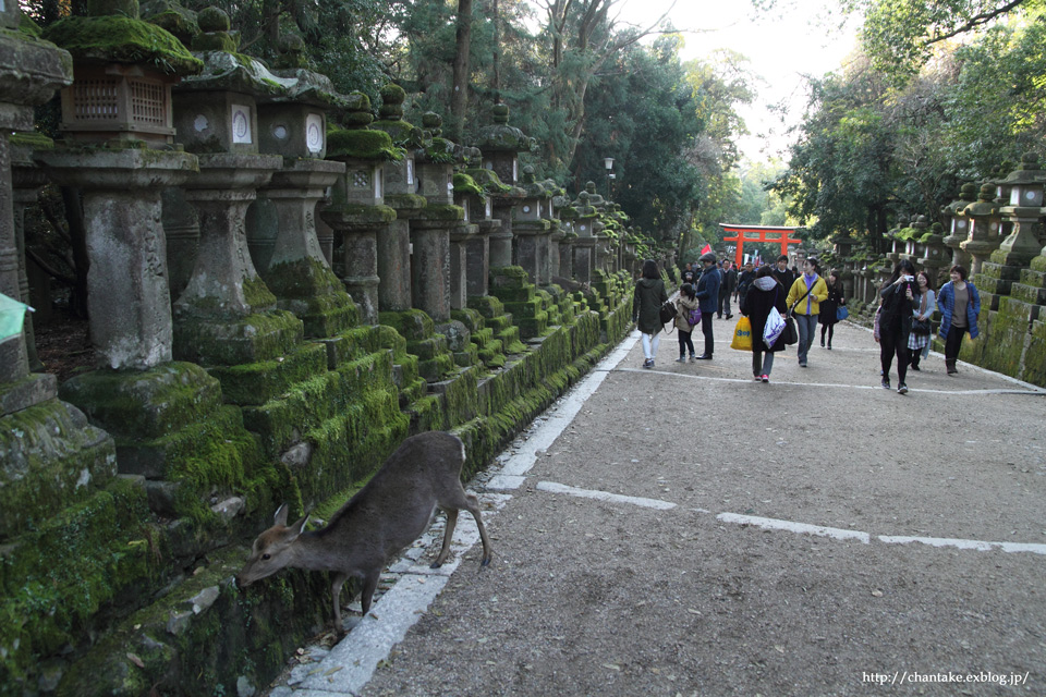 c0189013_54476.jpg