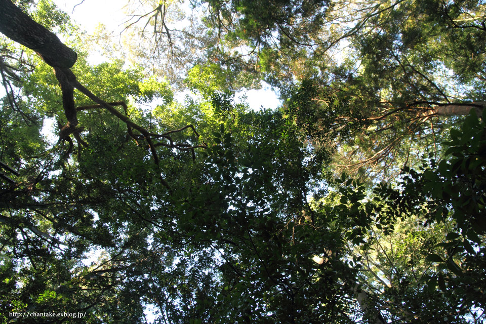 c0189013_67373.jpg