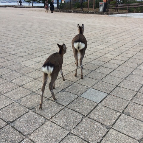 f0274713_22060147.jpeg