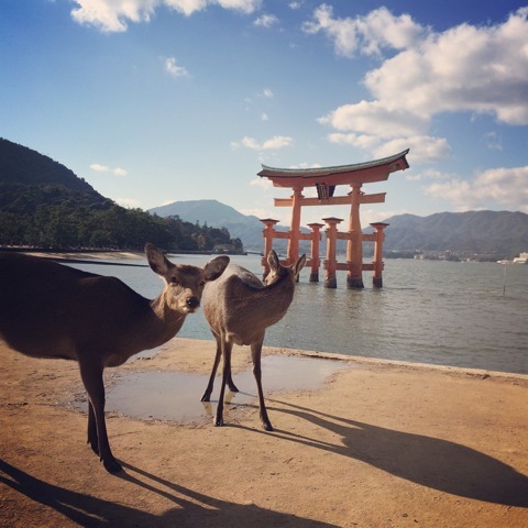 f0274713_22061221.jpeg