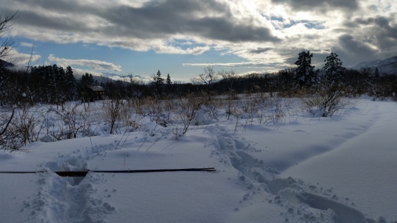 f0357714_20311436.jpg