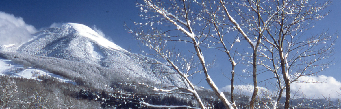 雪は少ないが、しっかりと冷え込んでいます。_d0170835_23303975.jpg