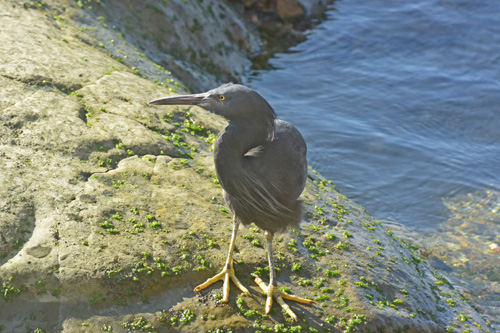 f0206939_2135328.jpg