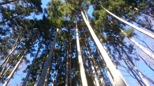 e0145441_19351139.jpg