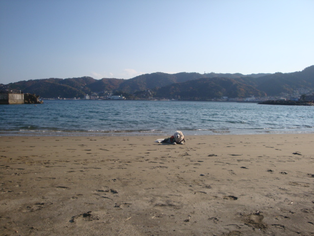 e0158841_1731036.jpg