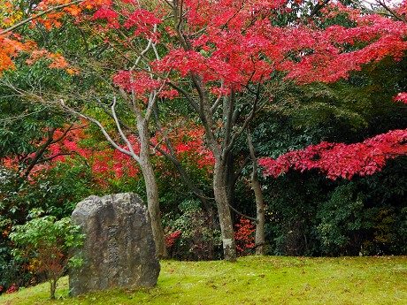 梅小路公園 朱雀の庭_c0057946_2238085.jpg