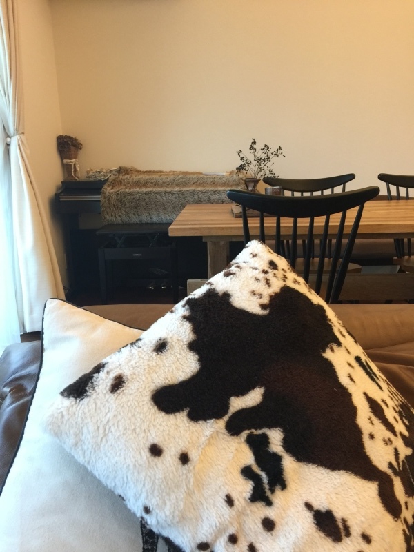 c0358651_11100226.jpeg