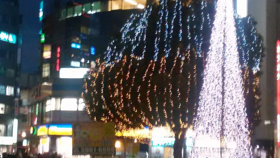 b0133752_1181657.jpg