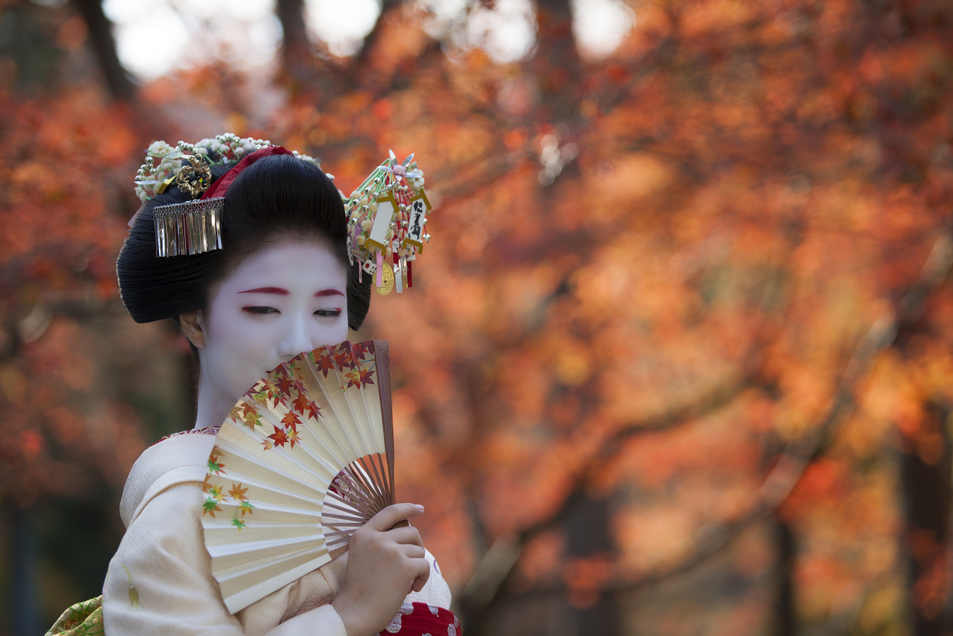 momiJi #2_d0141053_1619087.jpg