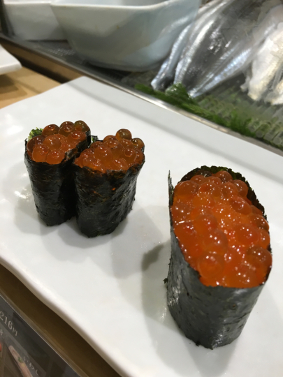 冬の旅2015_e0163255_09263500.jpg