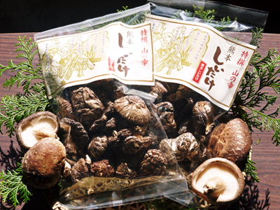 原木しいたけ 清流の里の『原木しいたけ』大好評発売中!!_a0254656_1971831.jpg