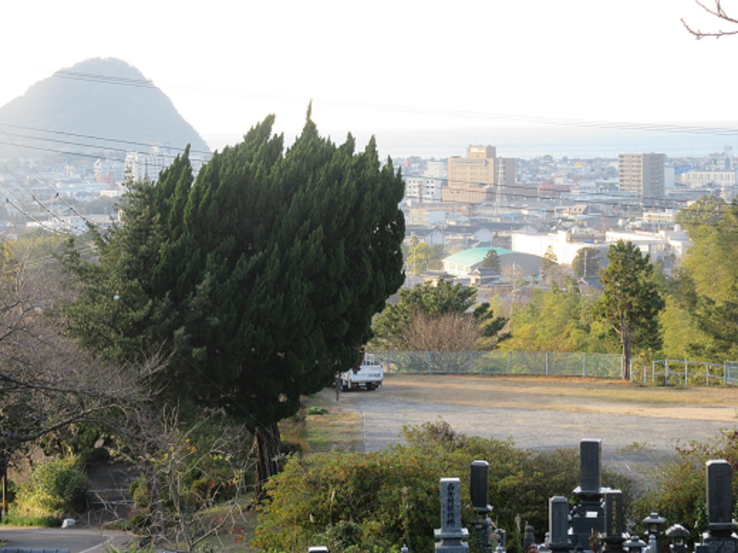 今年最後の河川公園ウオーキング_f0113862_1727137.jpg