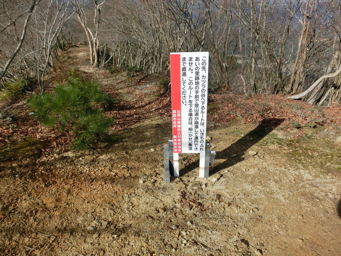 b0185573_14451892.jpg
