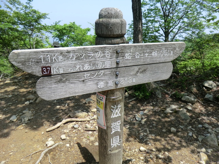 b0185573_1451429.jpg