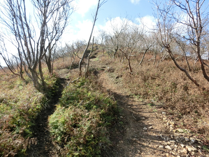 b0185573_19222336.jpg