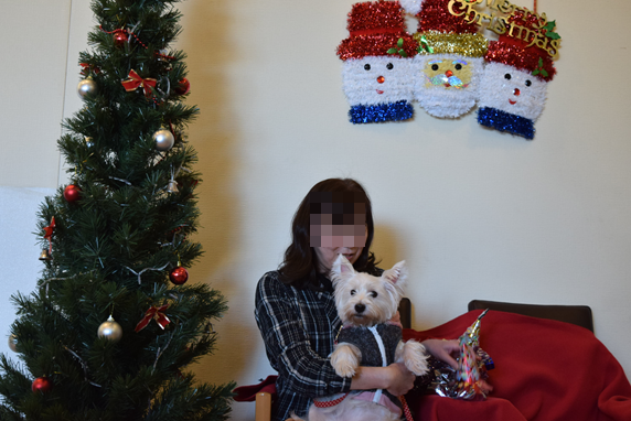 b0242873_12583114.png
