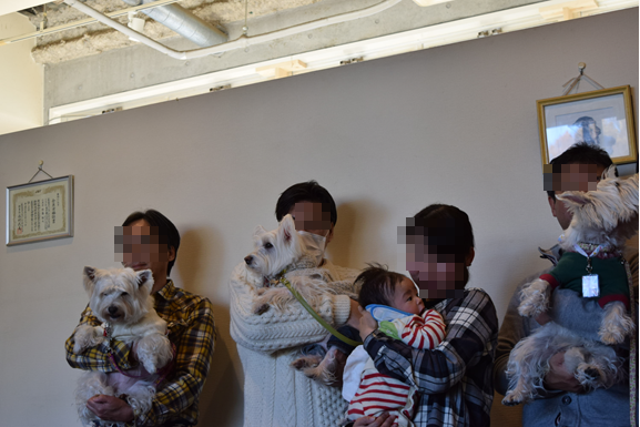 b0242873_13031635.png