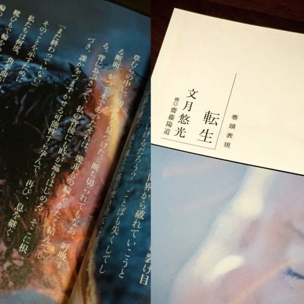 文學界、詩手帖、日展サイトに詩／洗礼ダイアリー、週刊朝日エッセイ／フィガロジャポン現代詩特集／今年を振り返って_d0101676_20452984.jpg