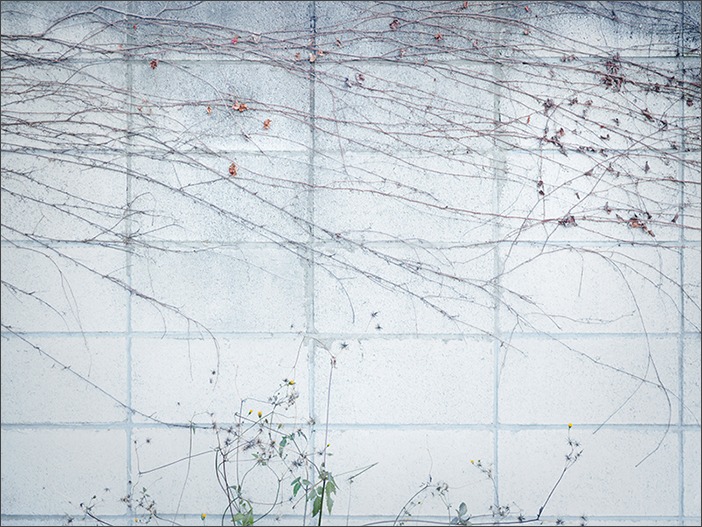 季節混合_a0161380_6302413.jpg
