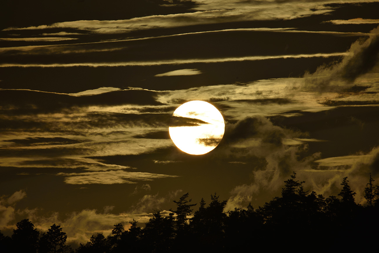 2015ベスト10選_a0110584_16375191.jpg