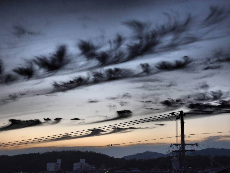 2015ベスト10選_a0110584_16381484.jpg